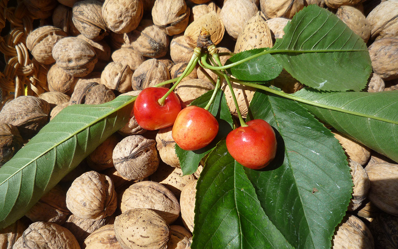 productos del huerto