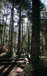 Nacimiento río Mundo 