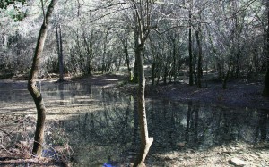 Nacimiento río Mundo 