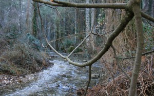 Nacimiento río Mundo 