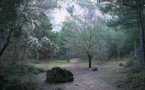 Nacimiento río Mundo 