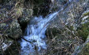 Nacimiento río Mundo 