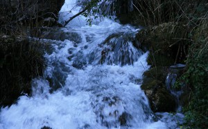 Nacimiento río Mundo 