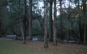 Nacimiento río Mundo